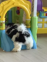 processed/def83e33-68ef-41a8-a0b8-9aa69d1749cc/facility/2bf24f3e-5b6f-4db5-84c2-d51f1fbce52b