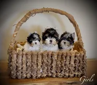 processed/def83e33-68ef-41a8-a0b8-9aa69d1749cc/facility/45a2c8cc-b15b-464c-807c-3fdccd133a69