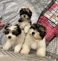 processed/def83e33-68ef-41a8-a0b8-9aa69d1749cc/facility/685fe38e-f8ac-46ac-bf1e-1bb37dbb1e3f