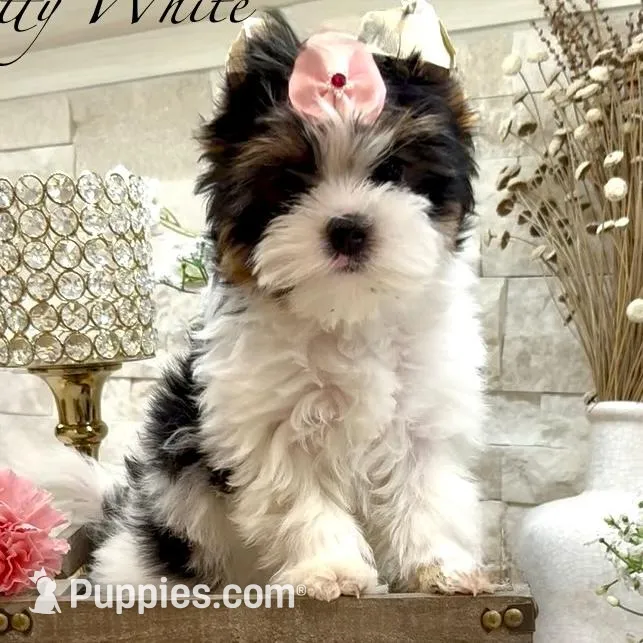 processed/def83e33-68ef-41a8-a0b8-9aa69d1749cc/facility/7d5e2f4b-1ac6-4bdd-9c64-61802020d382