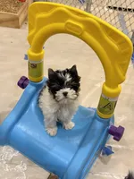 processed/def83e33-68ef-41a8-a0b8-9aa69d1749cc/facility/83051275-30cb-493e-9961-bb5187a798e0