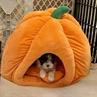 processed/def83e33-68ef-41a8-a0b8-9aa69d1749cc/facility/8b300c15-7fe0-48a9-99a0-1bb6ec7dfdcf