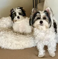 processed/def83e33-68ef-41a8-a0b8-9aa69d1749cc/facility/ce983b89-75c0-455a-a6bd-3e2bebc466a7