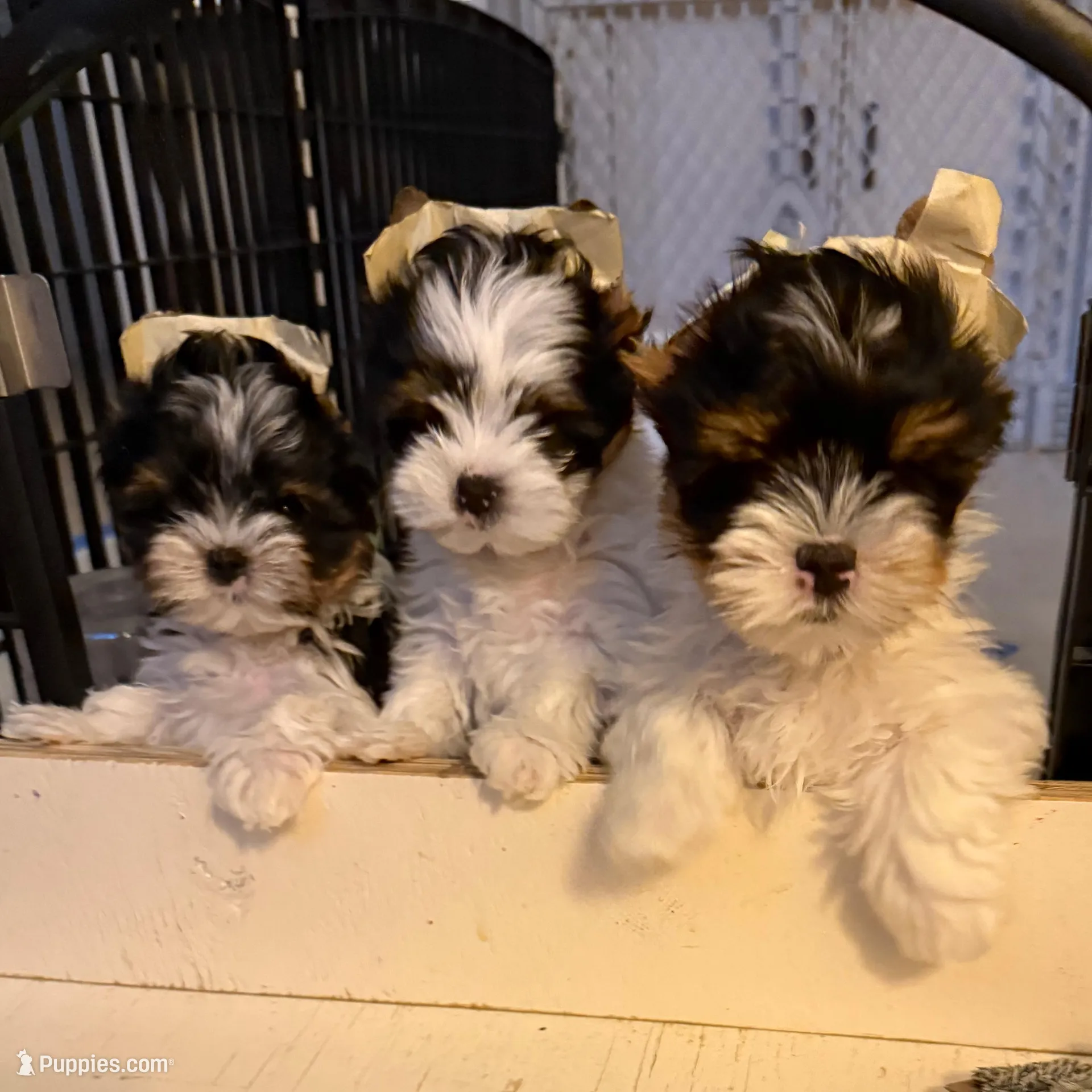 processed/def83e33-68ef-41a8-a0b8-9aa69d1749cc/facility/ea8509c8-1a83-4748-82d5-4bb376296cfd