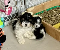 processed/def83e33-68ef-41a8-a0b8-9aa69d1749cc/facility/fc7fa7a4-a2c0-4034-a61f-c5dbab52ba95