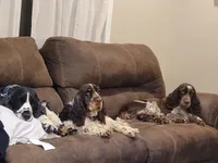 processed/defbb230-22e4-4ee4-bd50-02ab9109d004/facility/473c1499-ffc0-4714-813d-ccdb0944467e