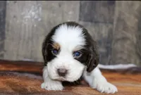 processed/defbb230-22e4-4ee4-bd50-02ab9109d004/listing/07814a3c-133a-4354-9c3f-3a69207f864e/3117d16e-99ee-49a9-ba59-3639351ac1ba