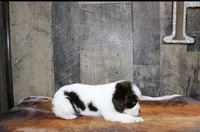 processed/defbb230-22e4-4ee4-bd50-02ab9109d004/listing/07814a3c-133a-4354-9c3f-3a69207f864e/574fa8cc-85e1-4e8a-ba26-f7e83ff430ff