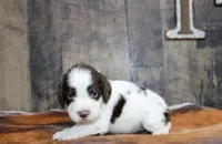 processed/defbb230-22e4-4ee4-bd50-02ab9109d004/listing/86056b53-db68-4c44-8db7-11d136a79b1f/7a276010-c297-4065-9a3d-99baa09a4c92