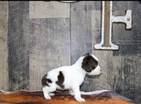 processed/defbb230-22e4-4ee4-bd50-02ab9109d004/listing/86056b53-db68-4c44-8db7-11d136a79b1f/faae0349-30a8-42e0-811e-eedad68d0ad5