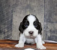 processed/defbb230-22e4-4ee4-bd50-02ab9109d004/listing/a4933b13-a1f1-4256-a4b5-d382aa135e17/64b44788-2442-4ad7-a582-941a3e4e537c