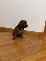 processed/defc7450-e827-47b1-ad6f-221a46694dff/listing/6e157741-5fa2-4627-b191-d9a896a06f57/063b63b6-8a0b-47bb-959c-b02ddc515e64