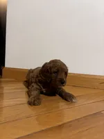 processed/defc7450-e827-47b1-ad6f-221a46694dff/listing/6e157741-5fa2-4627-b191-d9a896a06f57/9274ce6b-f37f-4e83-9e60-e7af3e719fc7