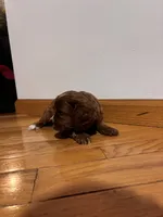 processed/defc7450-e827-47b1-ad6f-221a46694dff/listing/c3aafe08-133a-4d89-8e51-691fc08d6b8d/04079617-3d64-4a1c-b2e9-b3af525b91ad