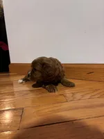 processed/defc7450-e827-47b1-ad6f-221a46694dff/listing/c3aafe08-133a-4d89-8e51-691fc08d6b8d/a926bd6f-b33c-4fb1-b366-2ba874a6d36b