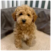 processed/defe14eb-a011-4b75-951b-2d81fdbb5f5d/facility/7a4ad0ed-7a0f-49f2-84c8-5216a090b0b6