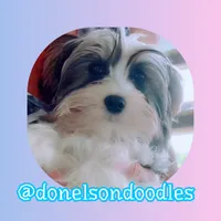 processed/defe14eb-a011-4b75-951b-2d81fdbb5f5d/listing/07dcb06f-10db-4f7f-9abc-8b1261c2d60a/6d48b70b-961d-41a3-bbe7-67ba1cccbb14