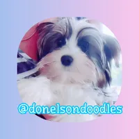 processed/defe14eb-a011-4b75-951b-2d81fdbb5f5d/listing/07dcb06f-10db-4f7f-9abc-8b1261c2d60a/e7d81a04-aadd-4c1a-99b7-4317e3cee398