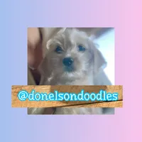 processed/defe14eb-a011-4b75-951b-2d81fdbb5f5d/listing/b1cc7393-76ea-41ed-9de3-b204b74e1331/682588b0-3ca0-40d2-8069-2d8488aea5f9