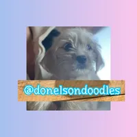 processed/defe14eb-a011-4b75-951b-2d81fdbb5f5d/listing/b1cc7393-76ea-41ed-9de3-b204b74e1331/dfdccabb-59be-4c5b-a3ef-aafd0309fa80