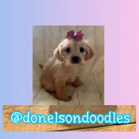 processed/defe14eb-a011-4b75-951b-2d81fdbb5f5d/listing/b4ba9cdf-3df0-469f-97d5-66a9d7d3637a/400a3851-ecda-49df-b1a9-a28271cd1d57