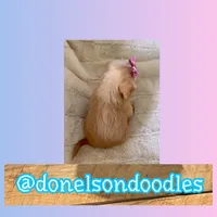 processed/defe14eb-a011-4b75-951b-2d81fdbb5f5d/listing/b4ba9cdf-3df0-469f-97d5-66a9d7d3637a/9fa91237-3579-425f-b5ad-cd9d794d5141