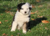 processed/df06c8ec-4d11-4160-85f2-51fd35a8e9b8/listing/67f96bd3-252b-40cd-a6eb-476fdc1ff38c/3cc2a87b-8447-469b-967c-2a139baf47f8