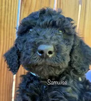 processed/df120e5d-7714-44ea-a4c3-c9ca7f45a6e6/listing/593a7673-53ed-4fb9-805f-e49eee1dde87/c28b4dcc-ae73-475b-8071-112d5334e8df