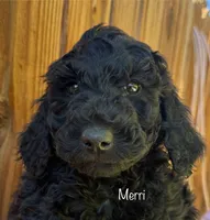 processed/df120e5d-7714-44ea-a4c3-c9ca7f45a6e6/listing/c38eaa9a-1de8-4e1d-932a-7f856d91b649/62f22599-f7e4-41c5-aa7b-b84824460b43