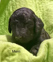 processed/df120e5d-7714-44ea-a4c3-c9ca7f45a6e6/listing/c38eaa9a-1de8-4e1d-932a-7f856d91b649/64b41171-2451-463a-b5a9-1c5c1da2a52b