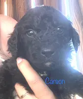 processed/df120e5d-7714-44ea-a4c3-c9ca7f45a6e6/listing/d0734caa-8b56-4175-8677-75c93f748791/27a86032-da05-4fa3-be7a-61c0b5d59fe5