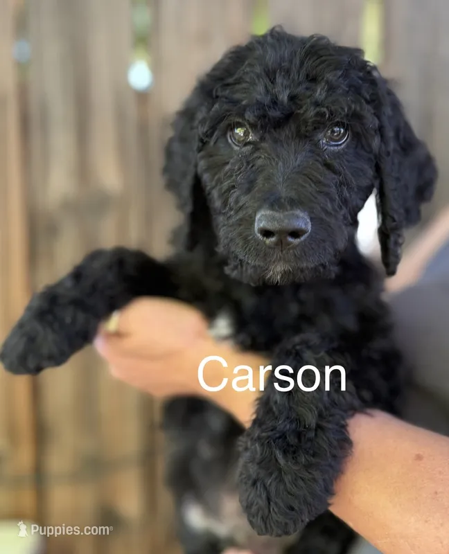 Carson