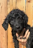 processed/df120e5d-7714-44ea-a4c3-c9ca7f45a6e6/listing/d0734caa-8b56-4175-8677-75c93f748791/a99ffbe8-ae01-4305-8361-ab85fe407796