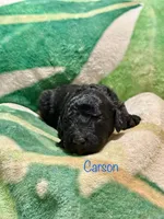 processed/df120e5d-7714-44ea-a4c3-c9ca7f45a6e6/listing/d0734caa-8b56-4175-8677-75c93f748791/dec1430f-c5dc-4c9d-ad2e-3313f545ad2f