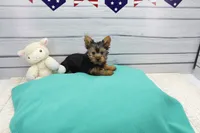 processed/df17584d-839d-4d15-9430-218453f96809/listing/de27e3ce-d195-49b4-943d-fbb3baa8dccc/0f3e9e19-7638-4e1c-bc35-7125b700d2f8