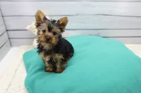 processed/df17584d-839d-4d15-9430-218453f96809/listing/de27e3ce-d195-49b4-943d-fbb3baa8dccc/80147ae2-dd1d-46f0-8c13-a56867d40595