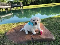 processed/df20b347-16c4-4107-85a2-761e4f9c98f0/facility/22394b62-3361-4551-a76d-30392e9ed228