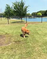 processed/df20b347-16c4-4107-85a2-761e4f9c98f0/facility/378b427a-172f-40e4-b29b-6231fe3cd44b