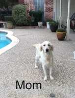 processed/df20b347-16c4-4107-85a2-761e4f9c98f0/facility/4d5d8f25-6ea7-40e1-8119-2a8a0c01927d