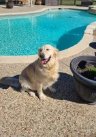 processed/df20b347-16c4-4107-85a2-761e4f9c98f0/facility/72962a10-d6e3-4eae-8d3a-38b3186d77d0