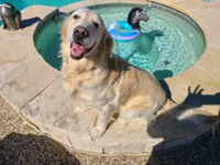 processed/df20b347-16c4-4107-85a2-761e4f9c98f0/facility/8e4c6461-b57a-4b94-bb50-5054334b2950