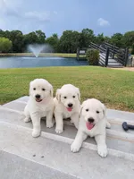 processed/df20b347-16c4-4107-85a2-761e4f9c98f0/facility/949c23dc-e034-4d9f-a4c1-c6a04a90e685