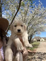 processed/df20b347-16c4-4107-85a2-761e4f9c98f0/facility/f6012b8f-b377-46df-a666-cbaa33a9ceb8