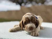 processed/df2528cf-54dd-496c-bf20-c8240c2265a7/listing/b60eb600-edeb-4abe-b82a-78e3308cccba/030ccbad-9854-4099-8b12-548ac26230bf