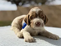 processed/df2528cf-54dd-496c-bf20-c8240c2265a7/listing/b60eb600-edeb-4abe-b82a-78e3308cccba/72ce1485-0b59-4804-b85d-28b25886e46f