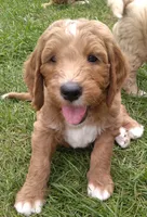 processed/df28341f-abba-4eb9-af80-941a01a63c73/facility/1115f4c8-99f5-4760-8ab9-fbae2c8d1381