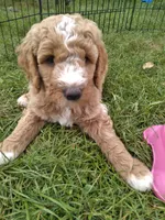 processed/df28341f-abba-4eb9-af80-941a01a63c73/facility/23900cd6-fb7d-40dc-81de-7e87be6c5d0a