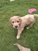 processed/df28341f-abba-4eb9-af80-941a01a63c73/facility/31ad7eb7-341c-4ff6-9b83-4f59b57542c4