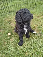 processed/df28341f-abba-4eb9-af80-941a01a63c73/facility/3c58a62e-898e-4967-9751-be48988d09d9