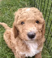 processed/df28341f-abba-4eb9-af80-941a01a63c73/facility/4333f185-010a-4a75-b83a-4ffaa5e7347e